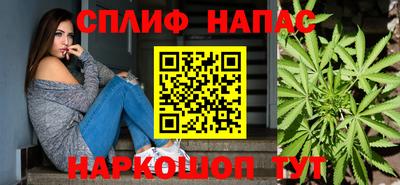 прущие грибы Можайск