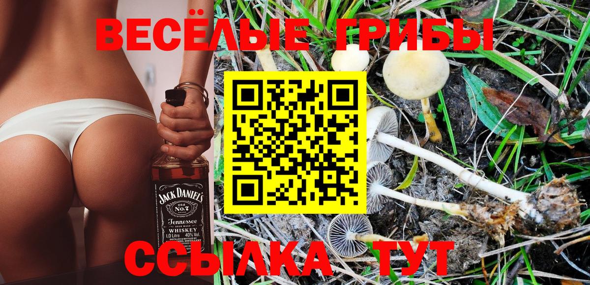 что такое   Псилоцибиновые грибы Psilocybe  Вход с VPN  Феодосия 